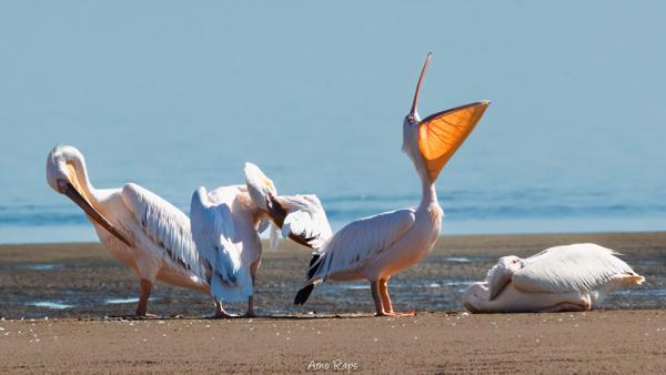 Walvisbaai, Namibia